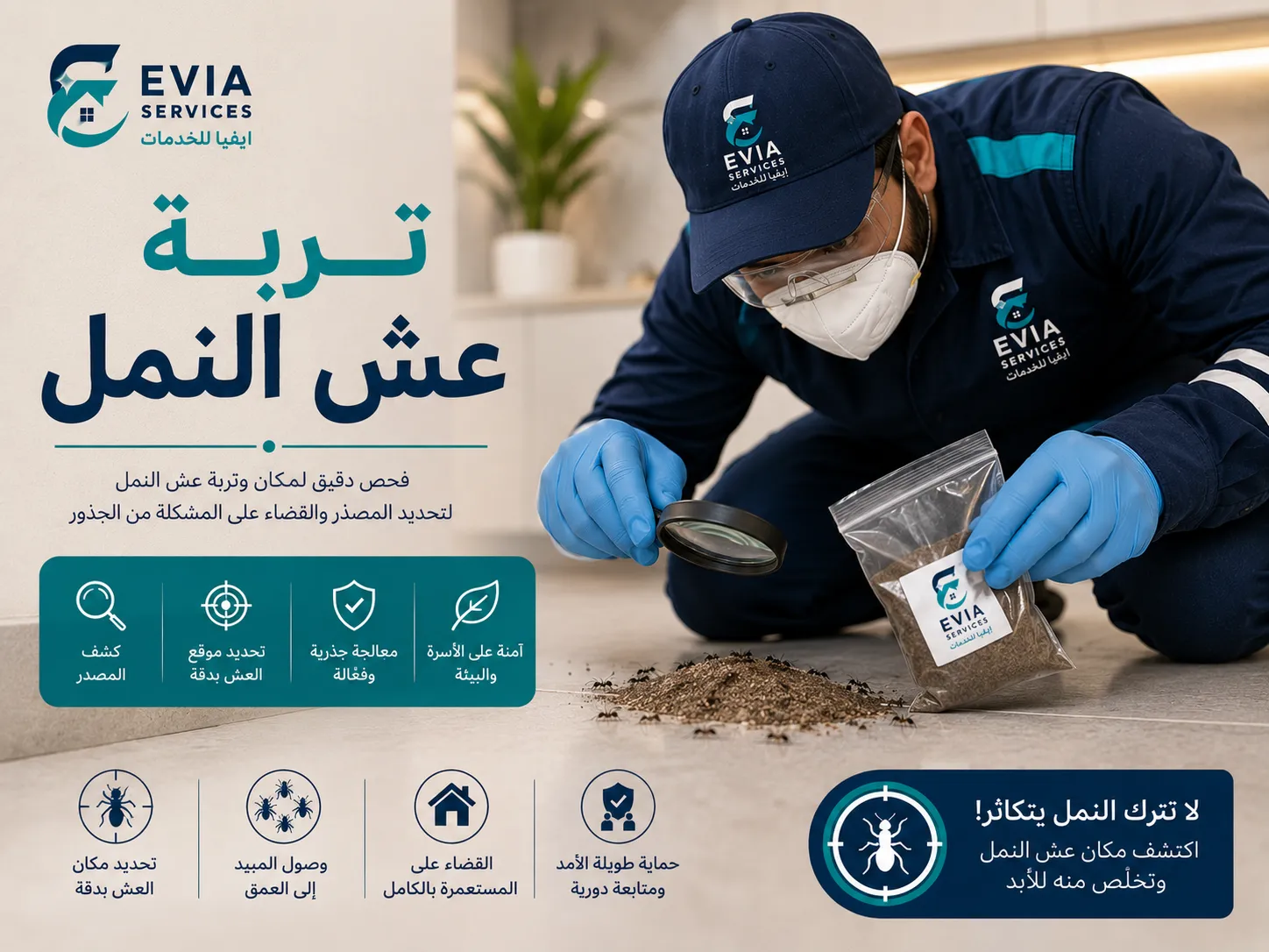 عش النمل في التربة حول المنزل - إيفيا